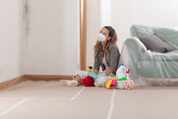 Reliable Mold Remediation contractor in Inwood, FL by WQB Mold Removal